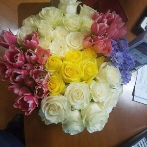 Meet your Posher, Martha